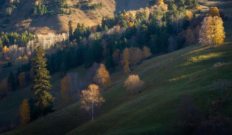 Свет на склонеphoto preview