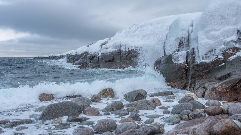 Студеный Баренецphoto preview