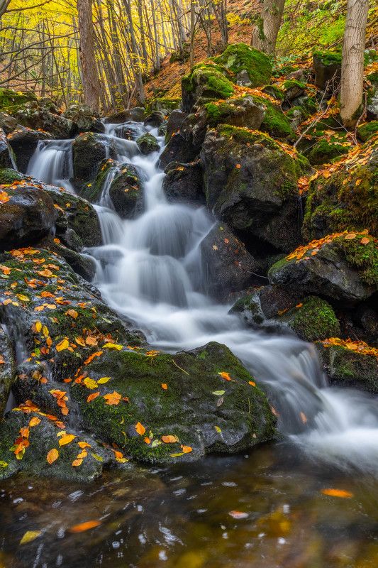 river nature autumn vertical landscapes The colors of Autumn photo preview