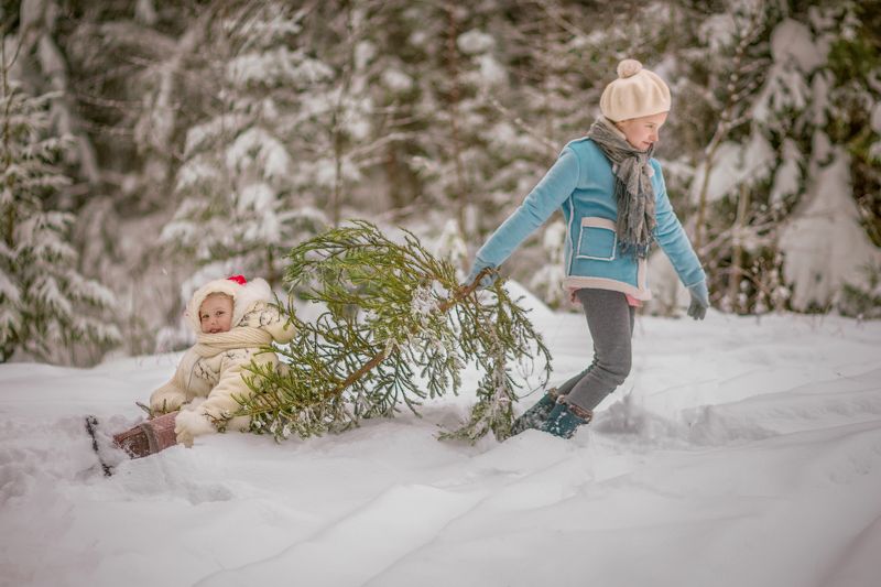 детство,новый год, дети, сказка 12 месяцевphoto preview