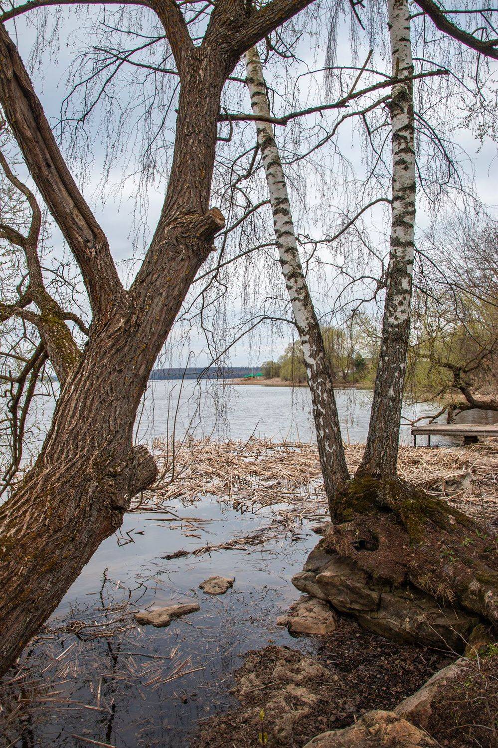 , Александр