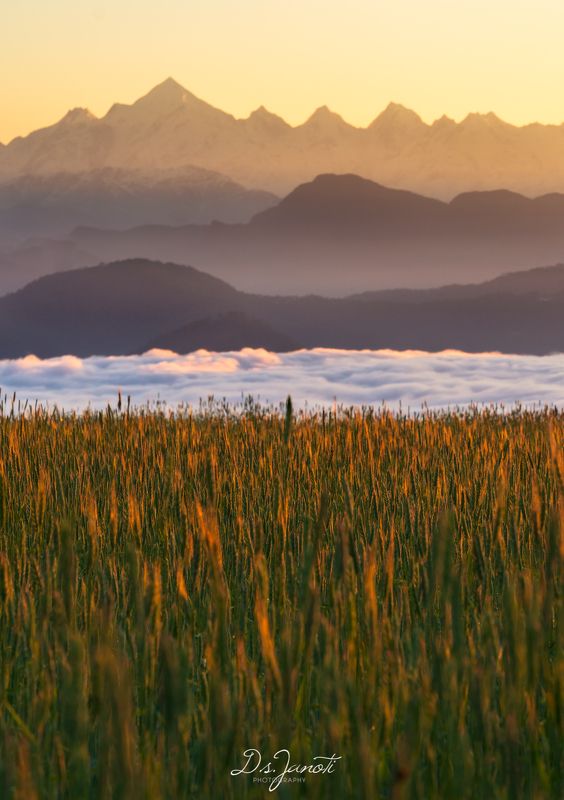 #morning #himalaya #nature #landscape #beauty #beautiful #india #sunrise #uttarakhand #travel photo preview