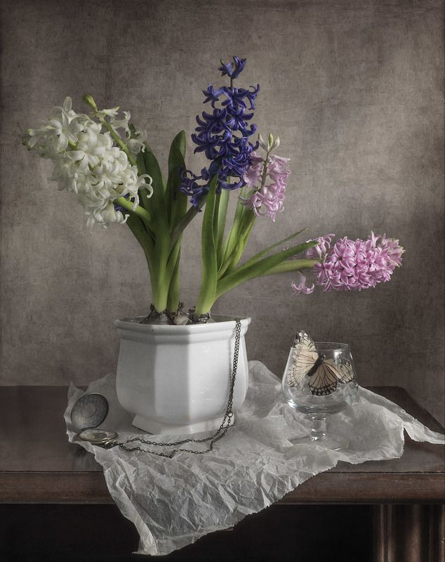 Время цветения гиацинтовphoto preview