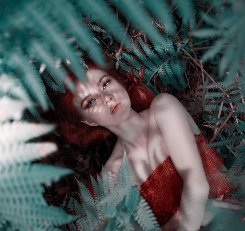 fern, magic, girl, forest Magic fernphoto preview