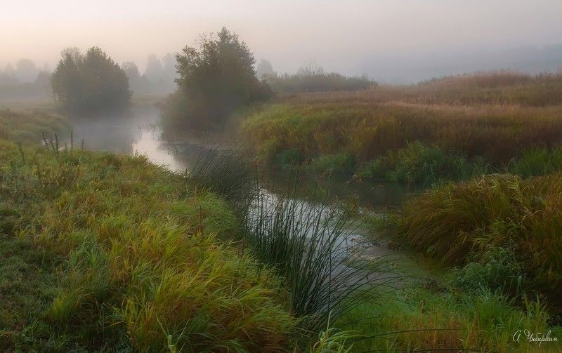 Лето, утро, рассвет, туман, река Утренний сонphoto preview