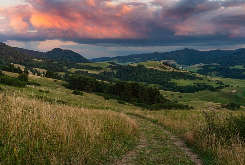 Pieniny, Slovakia, landscape, mountainscape, sunset, clouds, mountains, route, trail, trees, forest, grass, Nikon, Tamron, red,  Walking Toward the Redsphoto preview