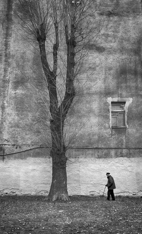 встречаphoto preview