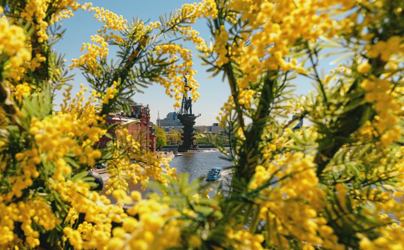 кресль, храм христа спасителя, центр, москва, столица, пасхальный дар, декорации, патриарший мост, moscow, kremlin декорации на Патриаршем мостуphoto preview