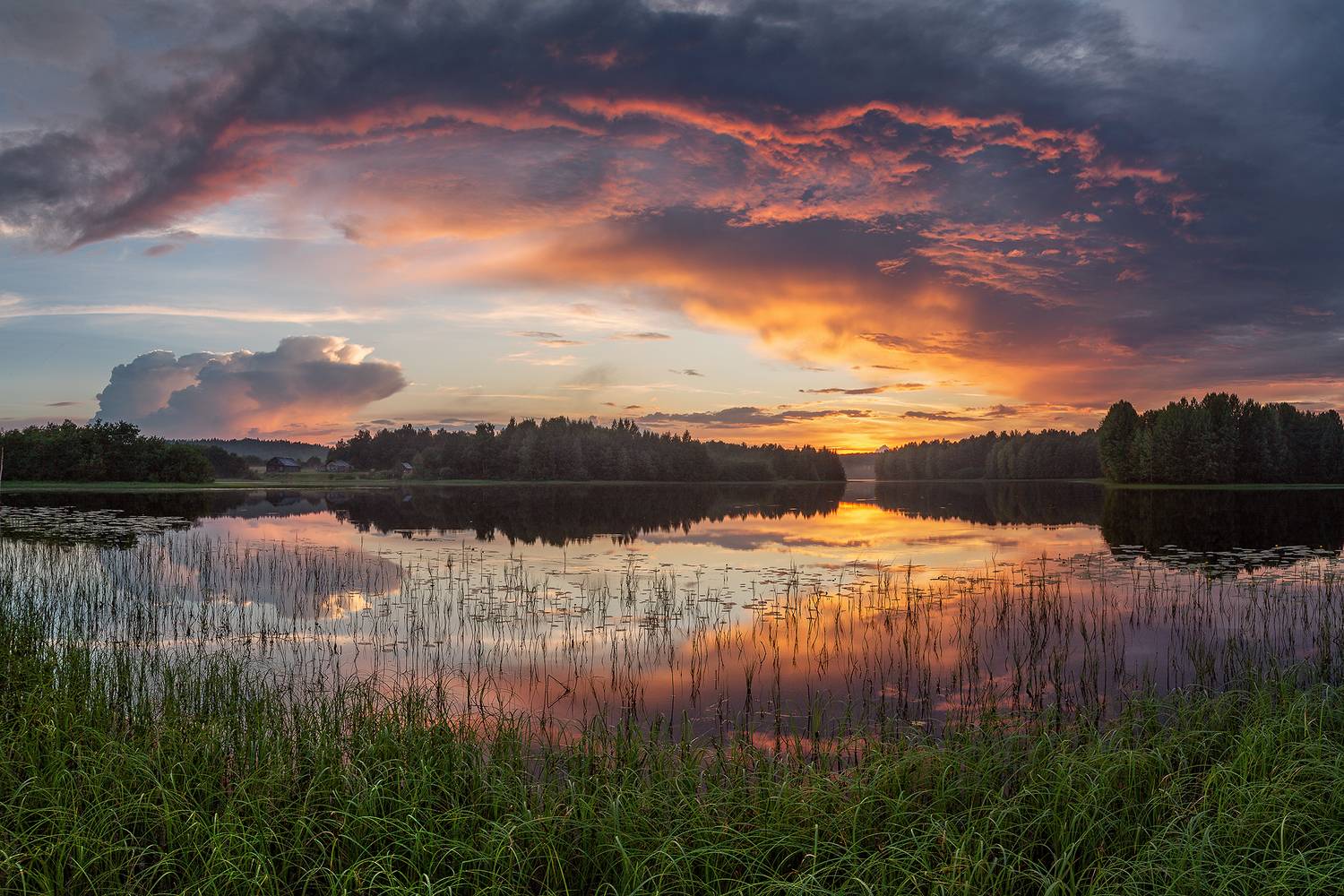 Гармония. Автор: Константин Маланин , Константин Маланин
