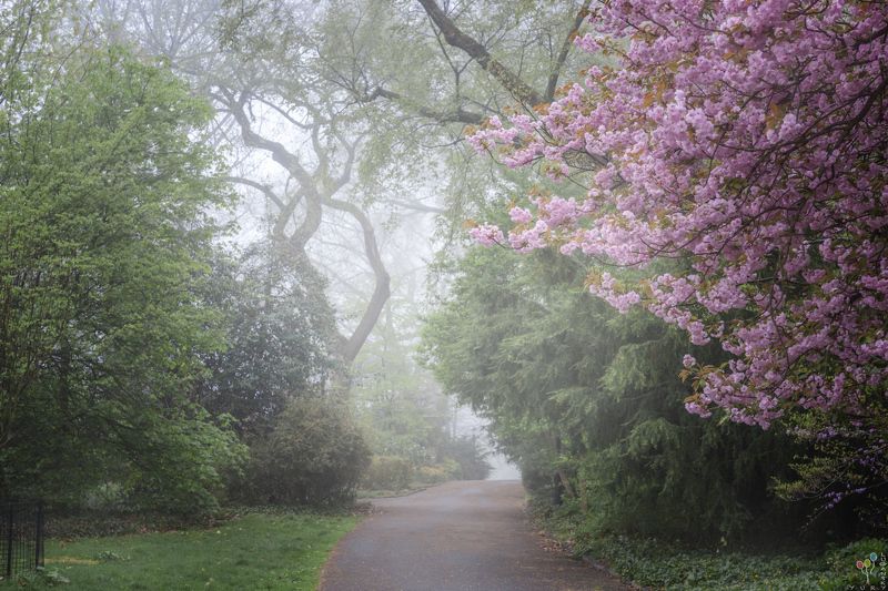 Fort Tryon Parkphoto preview