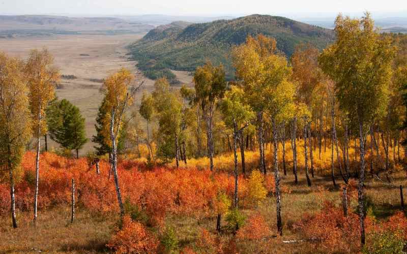 осень Осенний пожарphoto preview