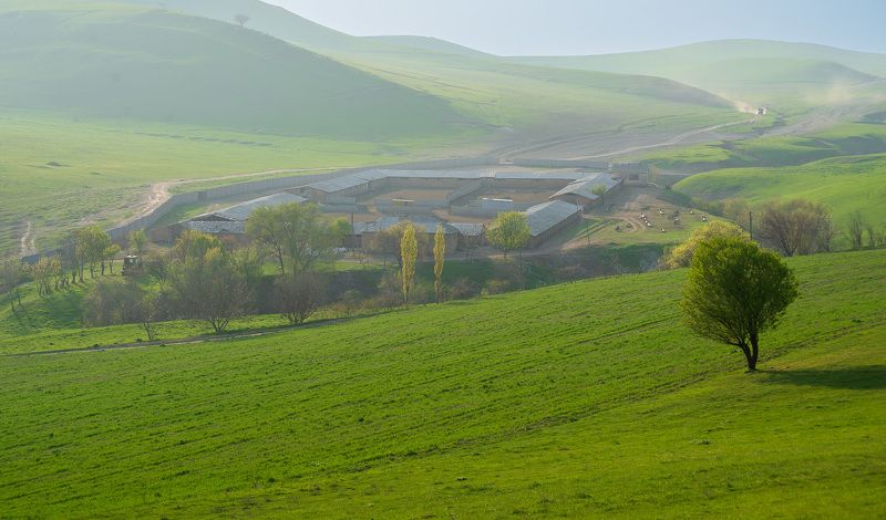 узбекистан, uzbekistan Фермаphoto preview