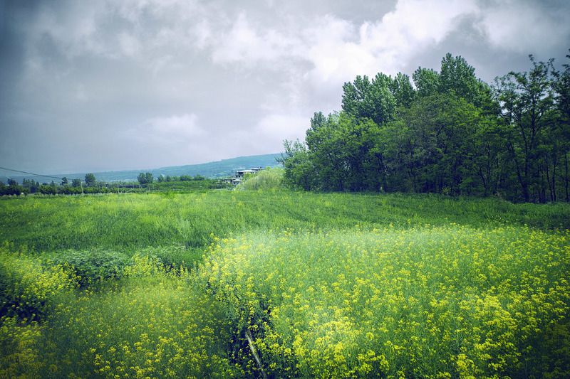 春日 田园 南山 春日田园南山photo preview