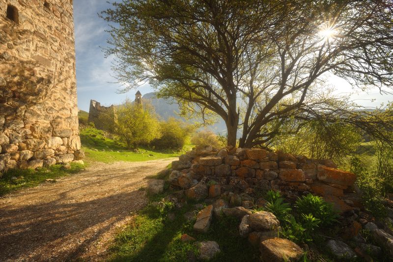 ингушетия, заповедник эрзи, башенные комплексы, весна, цветение, фототур в ингушетию, горы, тени, фототур на майские праздники Тениphoto preview
