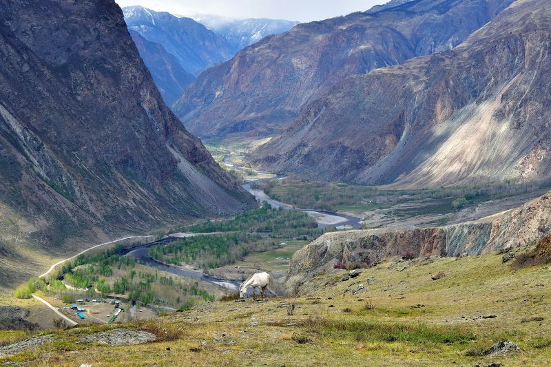 пейзаж, природа, путешествие, горы, панорама, алтай Долина Чулышманphoto preview