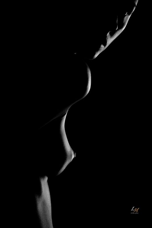 линии, мастеркласс, чб, ню, силуэт, тело, фотография, линиитела https://vk.com/nu_workshopphoto preview