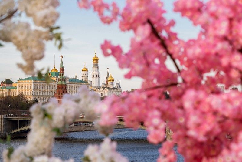 #москва ***photo preview