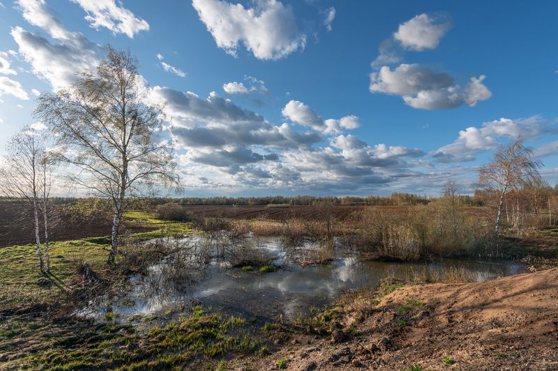 Веснаphoto preview