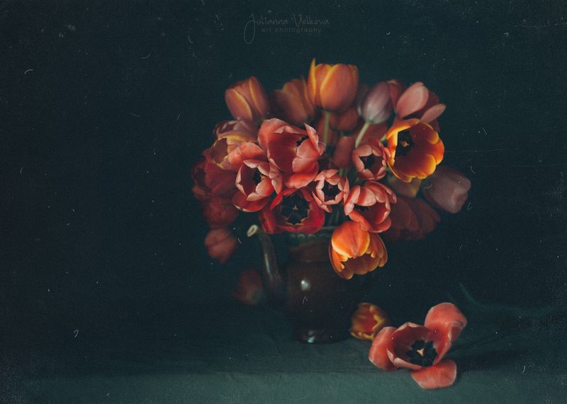 натюрморт, весна, тюльпаны, фотокартина Натюрморт с тюльпанамиphoto preview