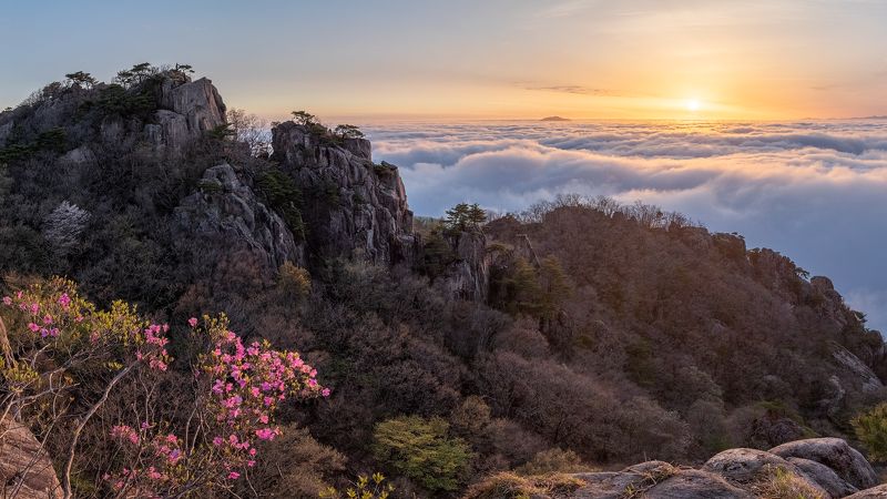 Spring of Samgeunbawiphoto preview