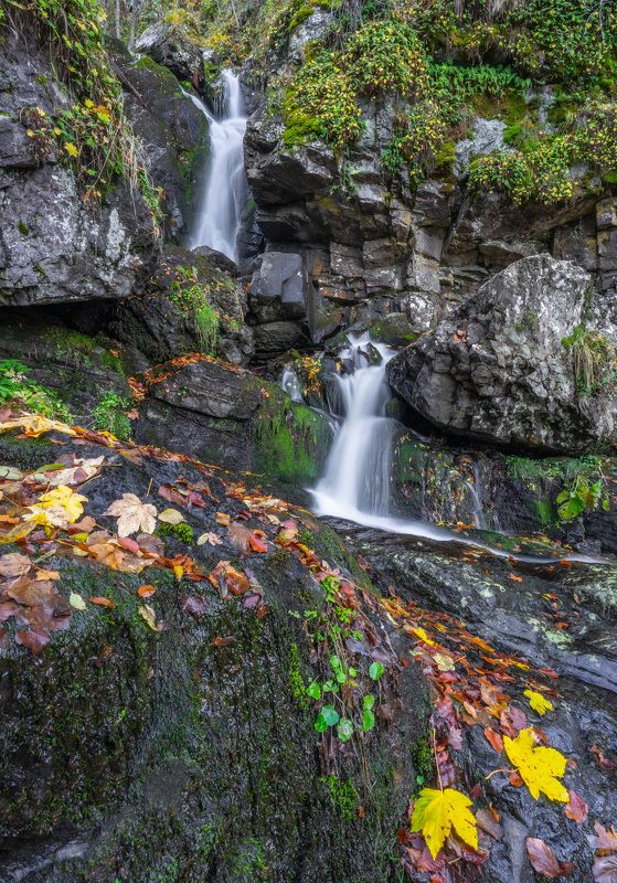 autumn landscapes nature waterfall vertical  The colors of Autumn 4photo preview