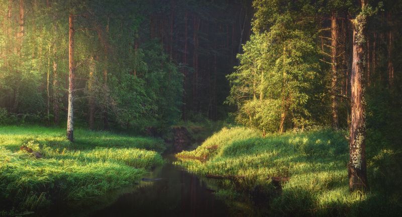 Утренний светphoto preview