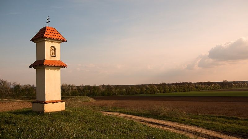 Along the roadphoto preview