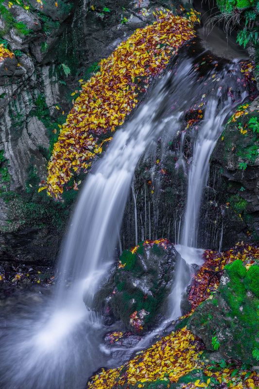landscapes nature waterfal autumn The colors of Autumn5photo preview