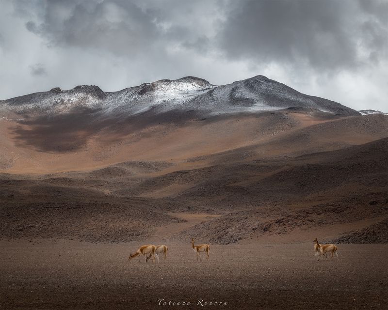 Минимализм Альтиплано Боливииphoto preview