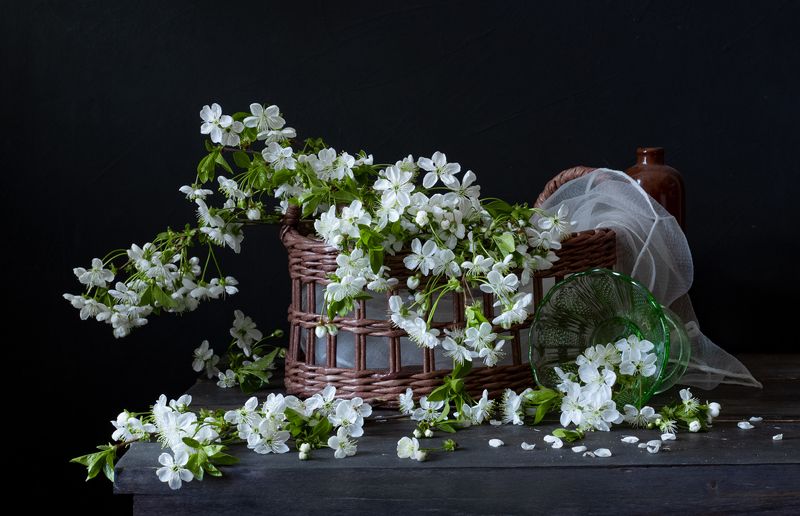 натюрморт, цветы, вишня Вишня цвететphoto preview