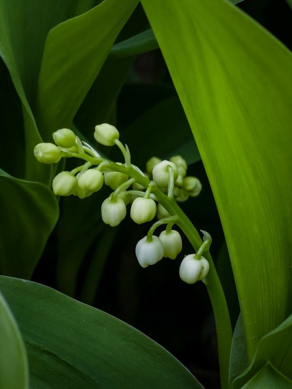 Другой цветокphoto preview