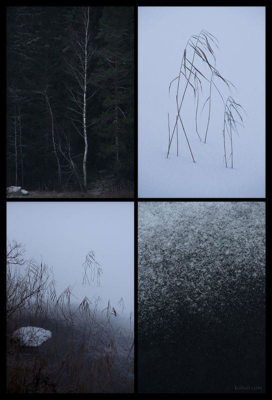 хокку, поэзия природы, минимализм, японская живопись, карельский перешеек, зима Хоккуphoto preview