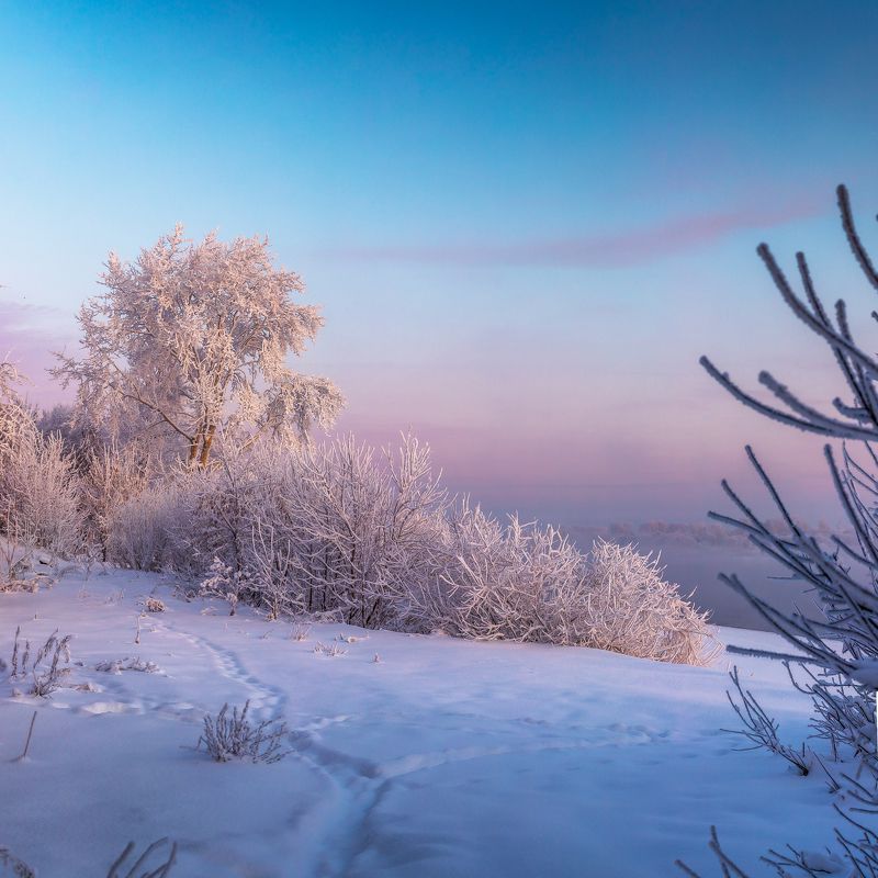 берег, вода, мороз, декабрь, холодно, утро, дерево, ярко, снег, зима, небо, тропинка, тропка, иней, снежно, белое, белымбело Морозная Вяткаphoto preview