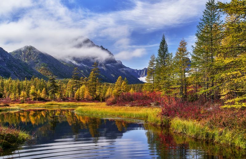 По колено в Неведомом фото превью