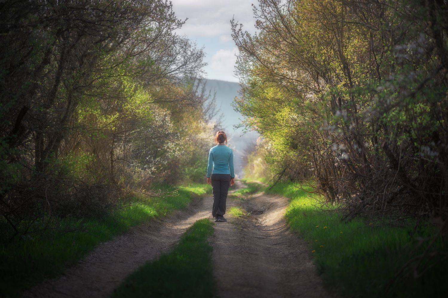 Дорога к Лаки. Автор: Агеев Алексей , Агеев Алексей