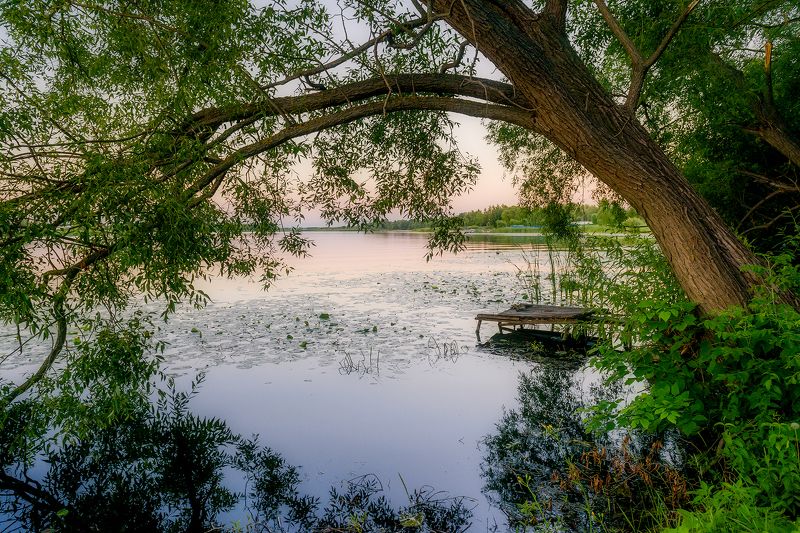 лето, вечер, река, листья, деревья, пейзаж Посвящение ушедшим друзьям...photo preview