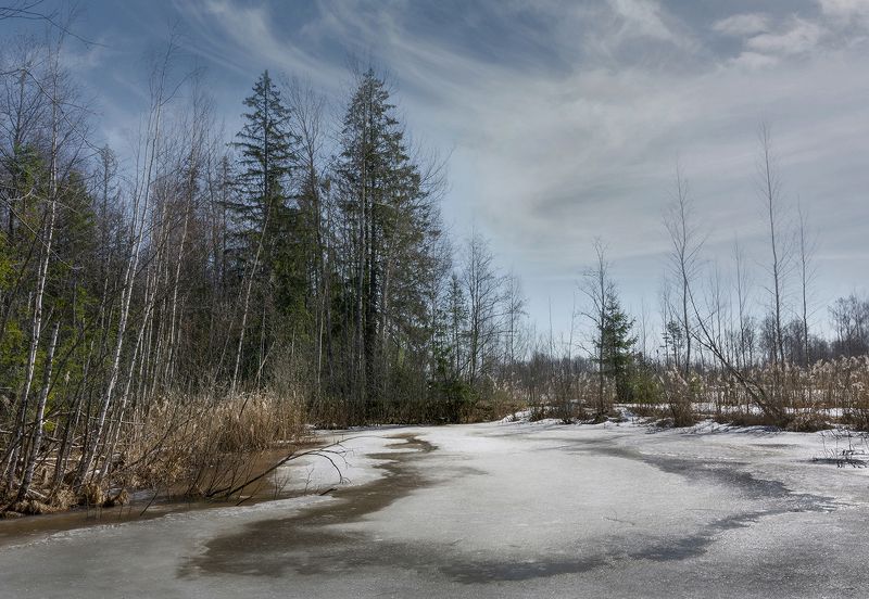 У прудаphoto preview