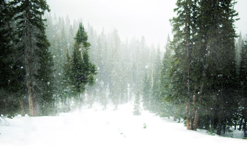 Winter is died in some country\'sphoto preview