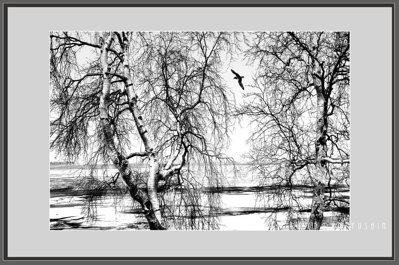 Веснаphoto preview