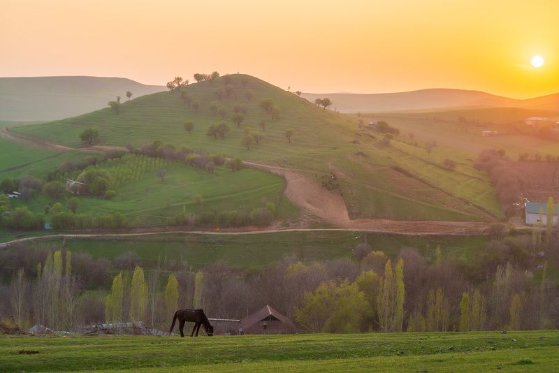 узбекистан, uzbekistan photo preview