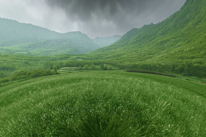丝雨碧野 丝雨碧野photo preview