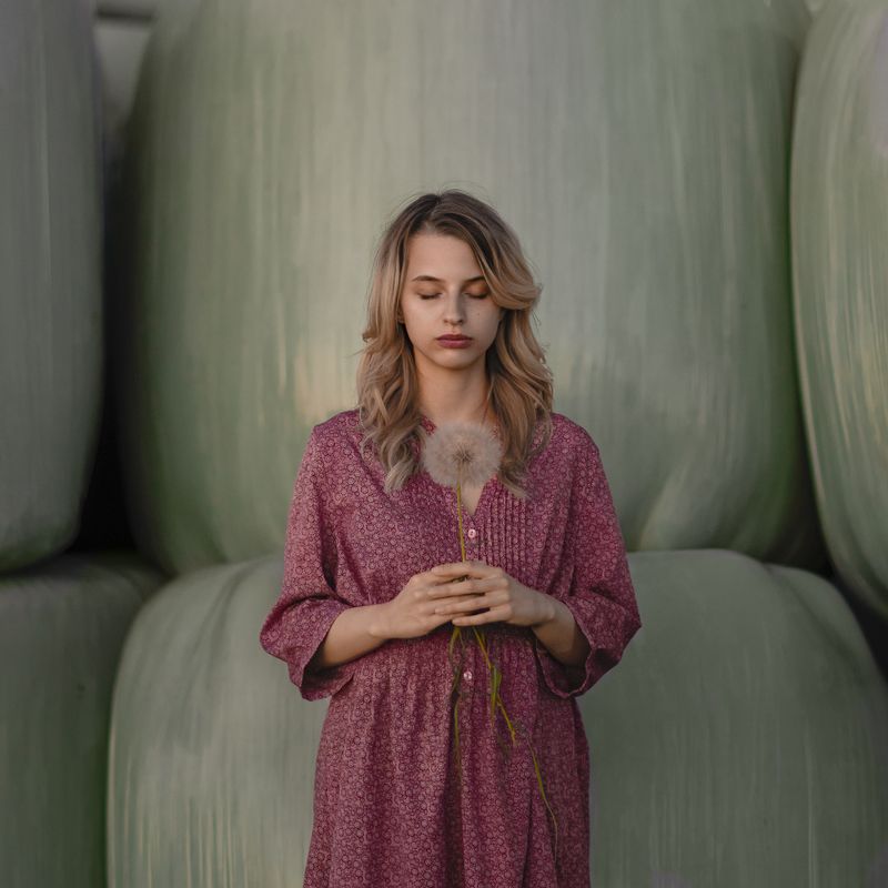 Одуванчик, вечер, девушка photo preview