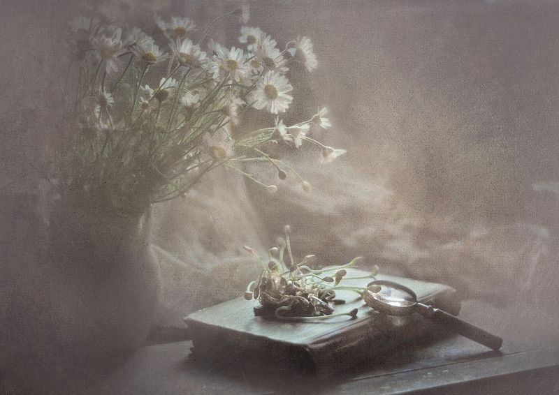 Ромашковое утроphoto preview