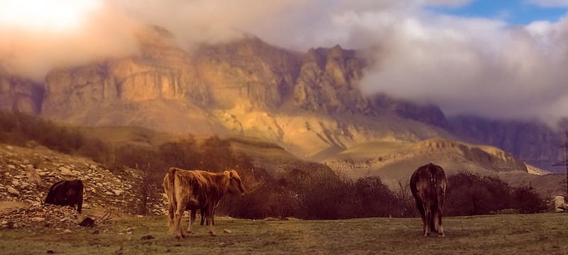 осетия Осетияphoto preview