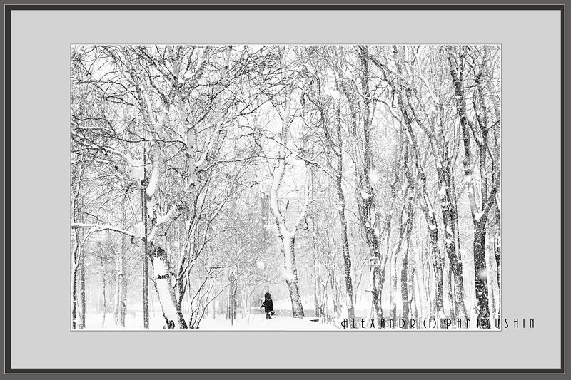 снегphoto preview