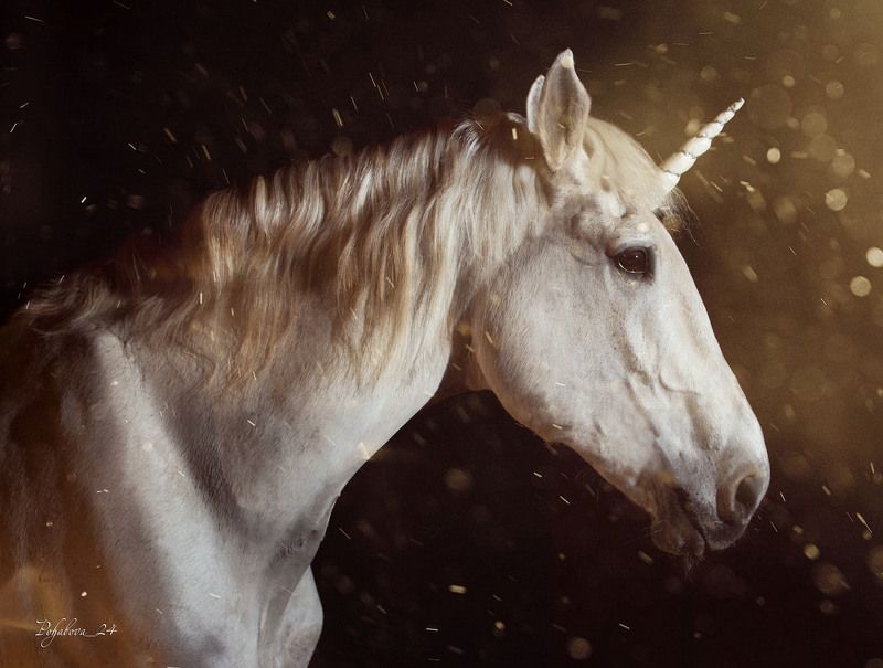 Единорогphoto preview