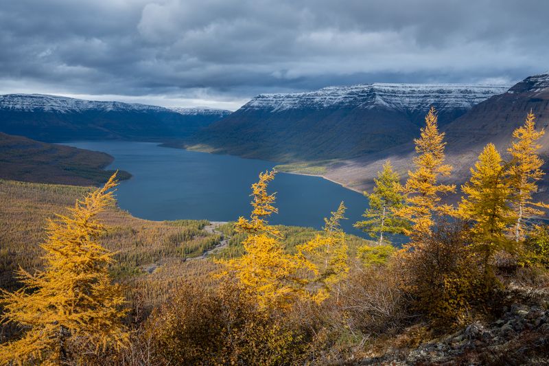 плато путорана, осень, золотая осень, лиственницы, озеро, горы, тучи, облака Плато Путоранаphoto preview
