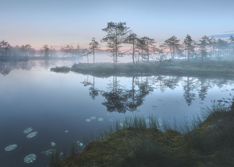 Утроphoto preview