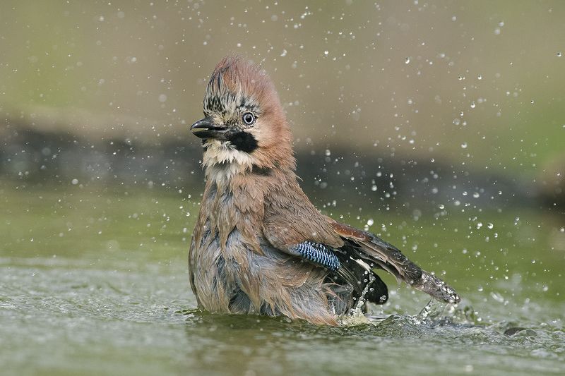 В ваннойphoto preview