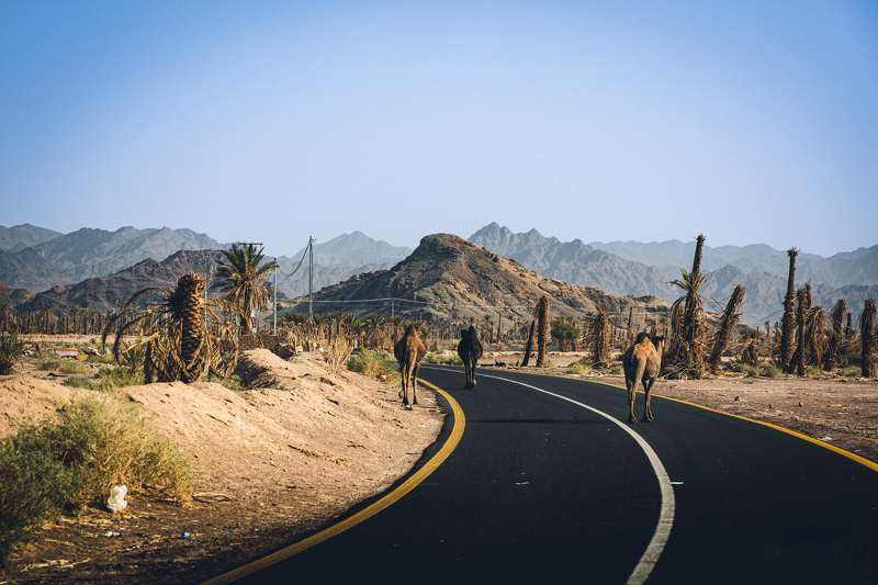 Ivan Mamalyha\'s Portfoliophoto preview